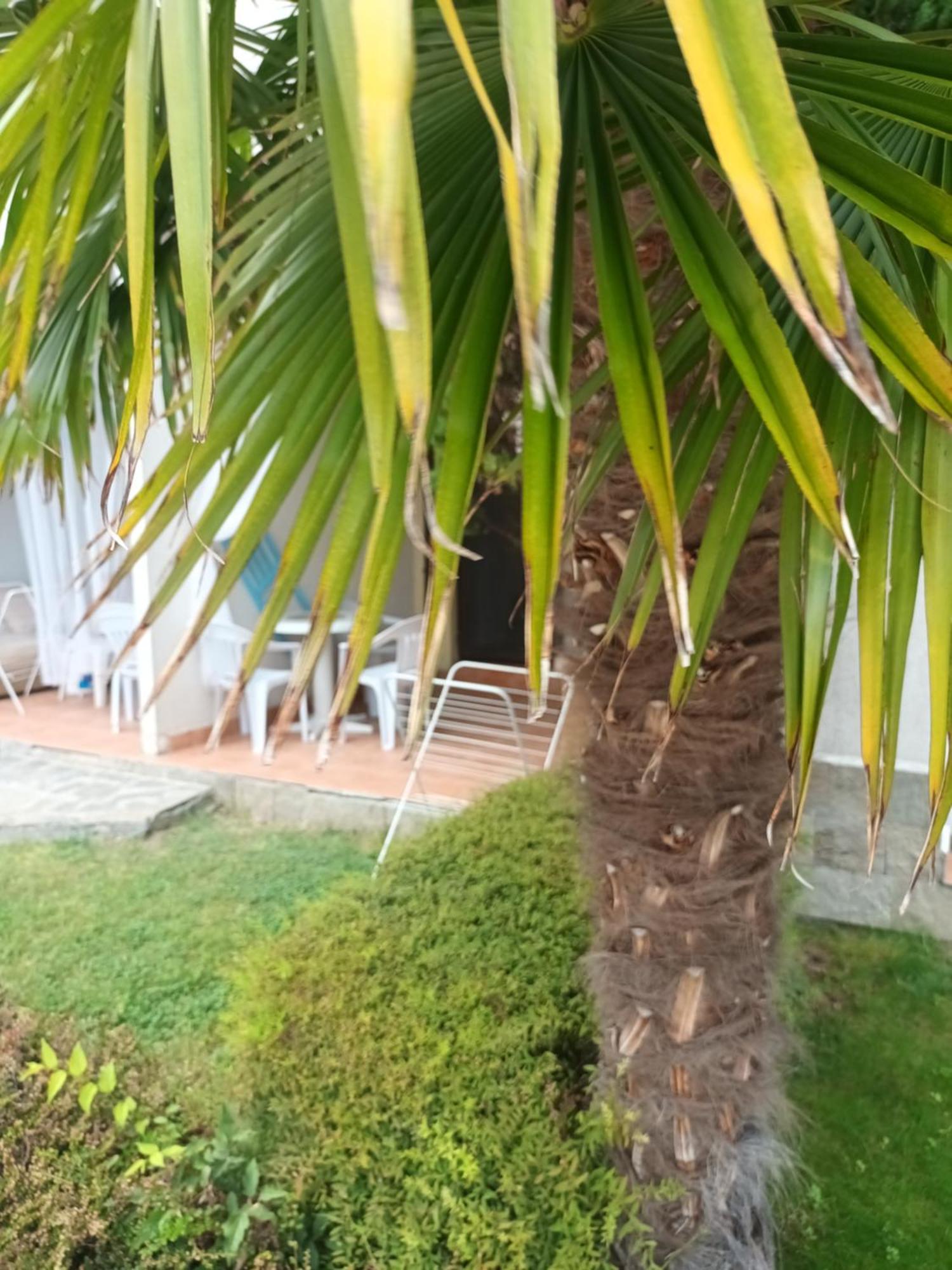 Apartment Studio Deluxe Marina Cape 4 Stars Resort 33 5 Aheloy Exterior foto